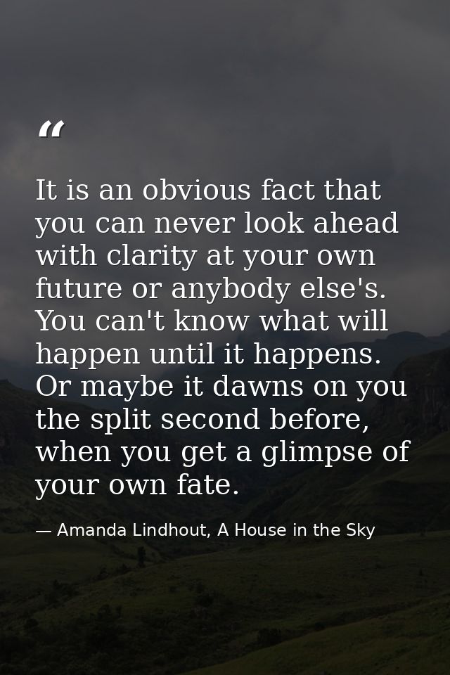 It is an obvious fact that you can never look ahead with clarity at your own future or anybody else's. You can't know wh — Amanda Lindhout, A House in the Sky