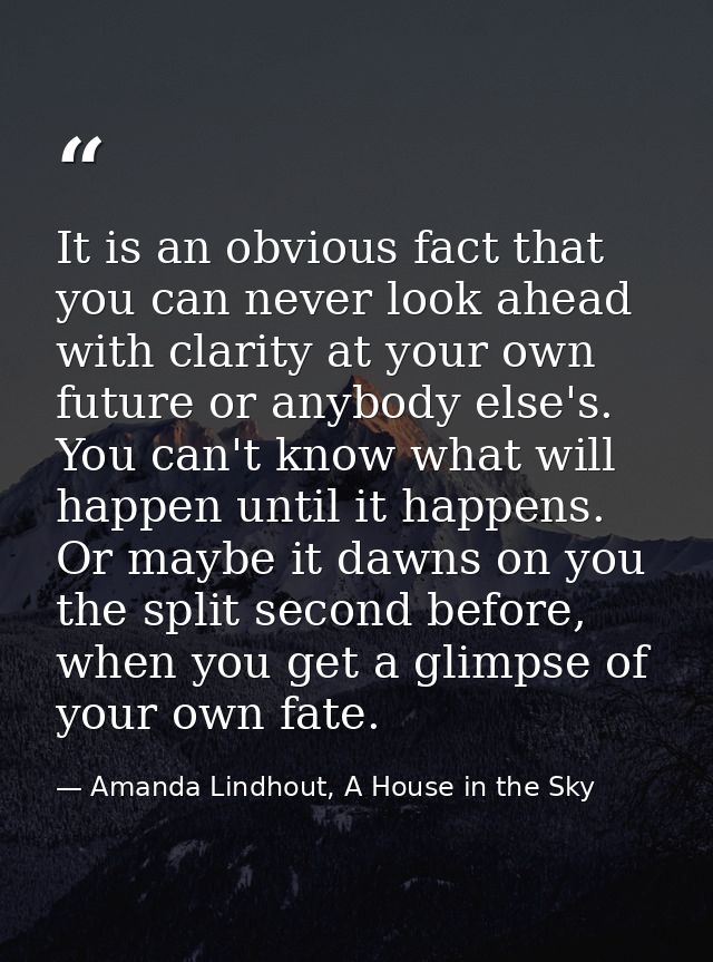 It is an obvious fact that you can never look ahead with clarity at your own future or anybody else's. You can't know wh — Amanda Lindhout, A House in the Sky