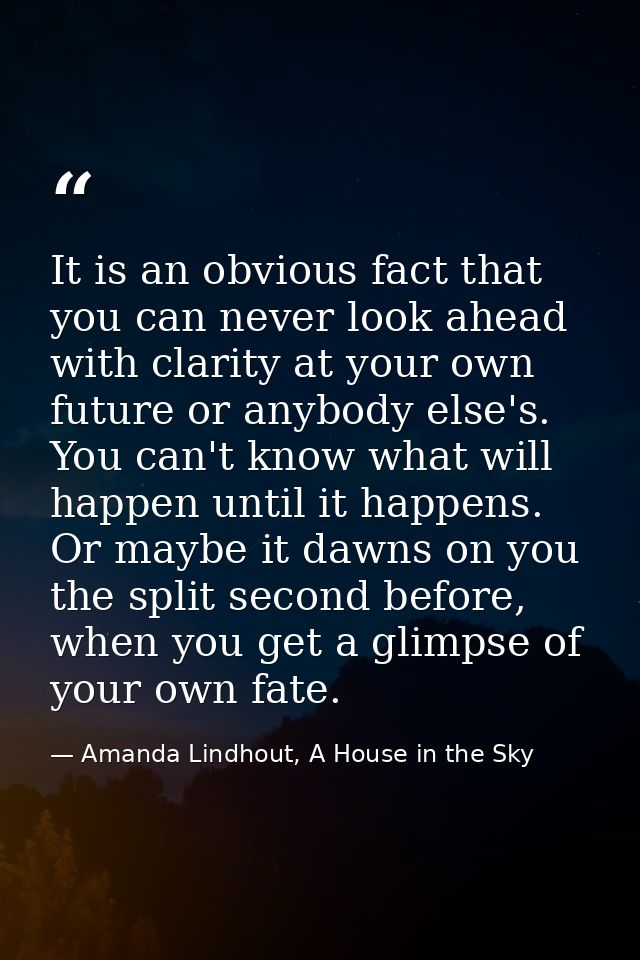 It is an obvious fact that you can never look ahead with clarity at your own future or anybody else's. You can't know wh — Amanda Lindhout, A House in the Sky