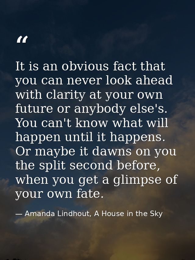 It is an obvious fact that you can never look ahead with clarity at your own future or anybody else's. You can't know wh — Amanda Lindhout, A House in the Sky