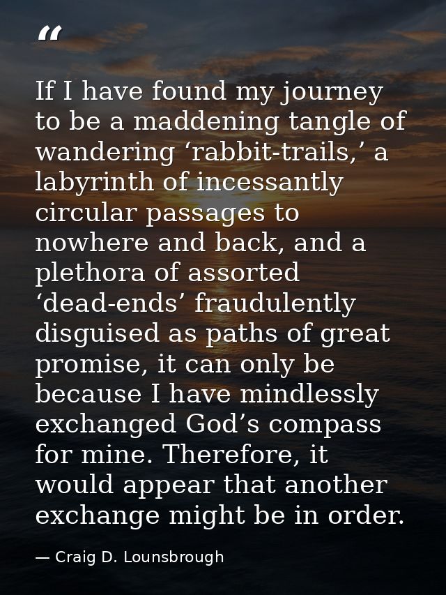 If I have found my journey to be a maddening tangle of wandering ‘rabbit-trails,’ a labyrinth of incessantly circular pa — Craig D. Lounsbrough