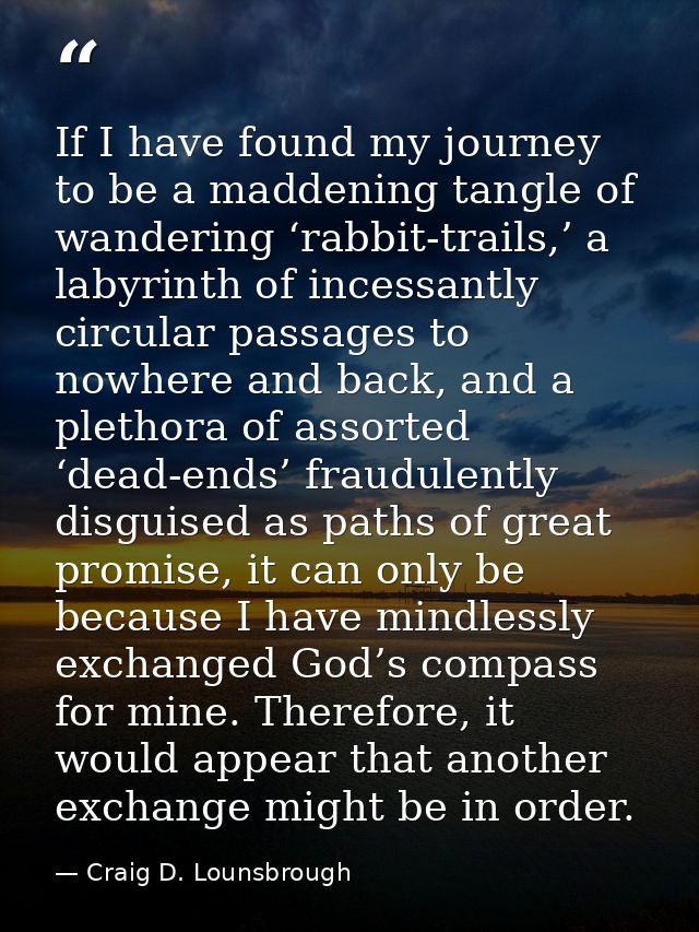 If I have found my journey to be a maddening tangle of wandering ‘rabbit-trails,’ a labyrinth of incessantly circular pa — Craig D. Lounsbrough