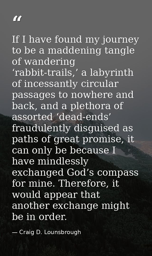 If I have found my journey to be a maddening tangle of wandering ‘rabbit-trails,’ a labyrinth of incessantly circular pa — Craig D. Lounsbrough