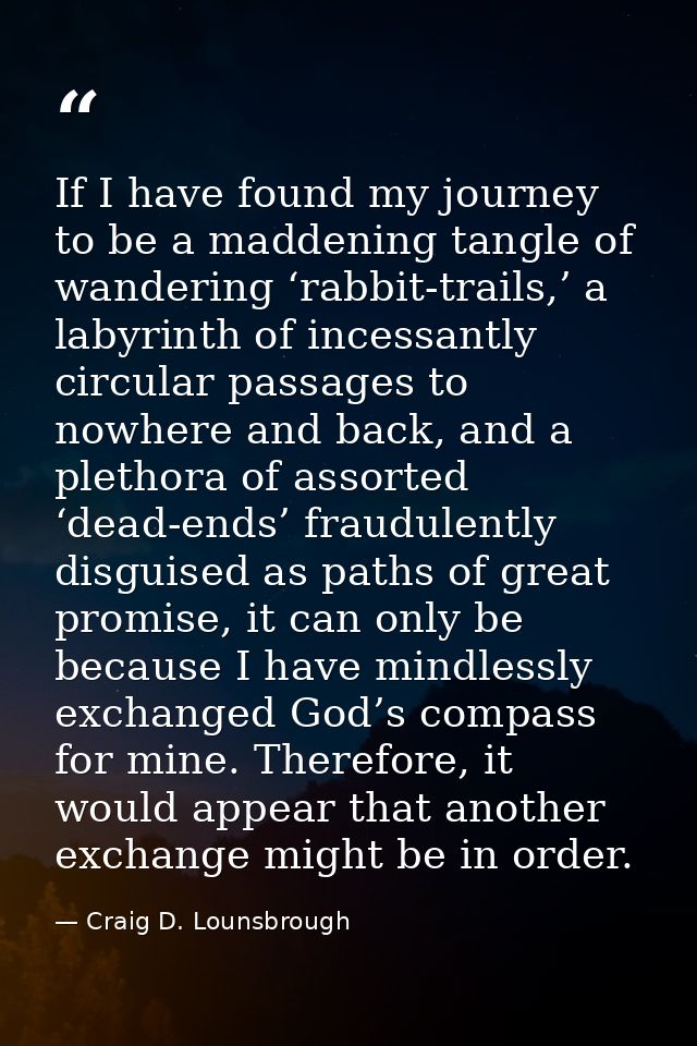 If I have found my journey to be a maddening tangle of wandering ‘rabbit-trails,’ a labyrinth of incessantly circular pa — Craig D. Lounsbrough