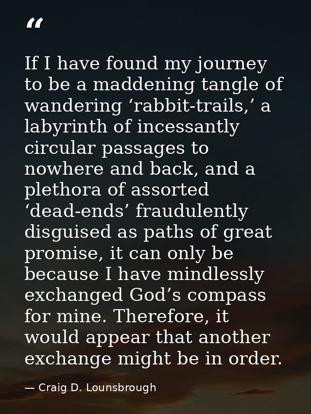 If I have found my journey to be a maddening tangle of wandering ‘rabbit-trails,’ a labyrinth of incessantly circular pa — Craig D. Lounsbrough