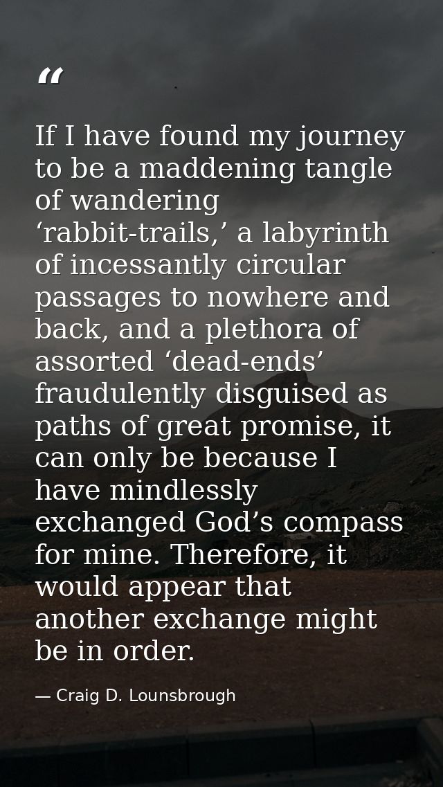 If I have found my journey to be a maddening tangle of wandering ‘rabbit-trails,’ a labyrinth of incessantly circular pa — Craig D. Lounsbrough