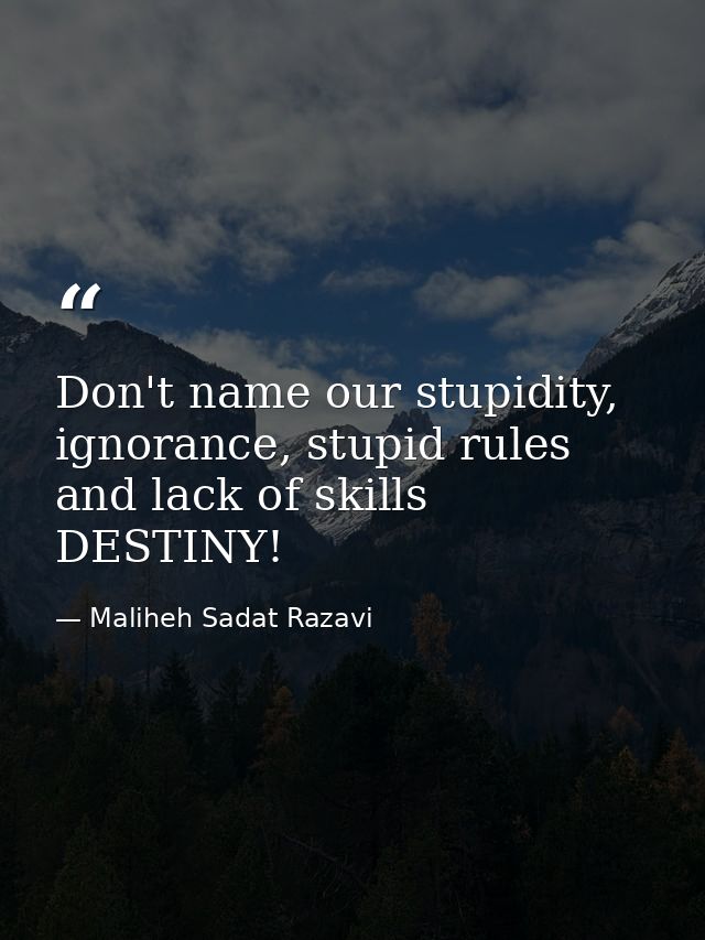 Don't name our stupidity, ignorance, stupid rules and lack of skills DESTINY! — Maliheh Sadat Razavi