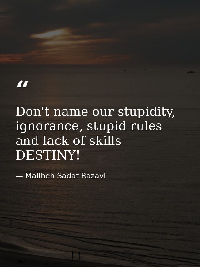 Don't name our stupidity, ignorance, stupid rules and lack of skills DESTINY! — Maliheh Sadat Razavi