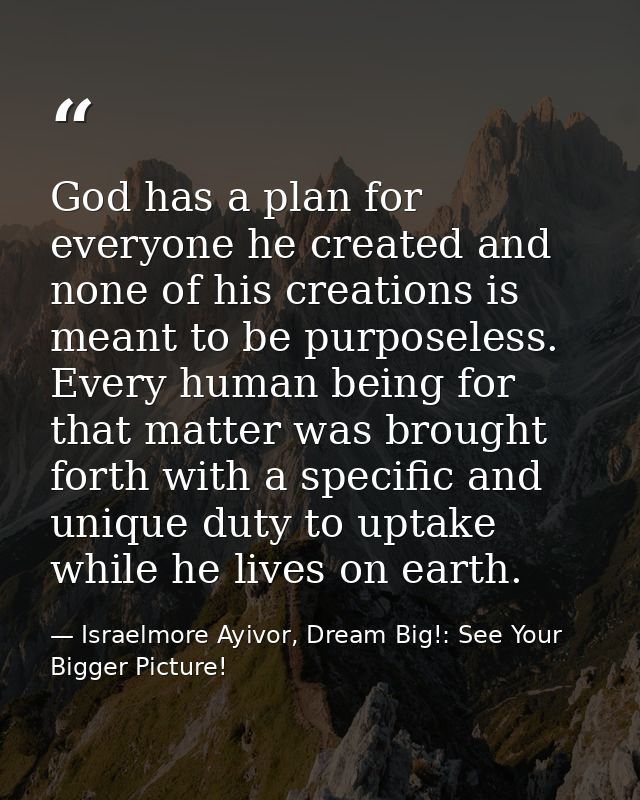 God has a plan for everyone he created and none of his creations is meant to be purposeless. Every human being for that  — Israelmore Ayivor, Dream Big!: See Your Bigger Picture!