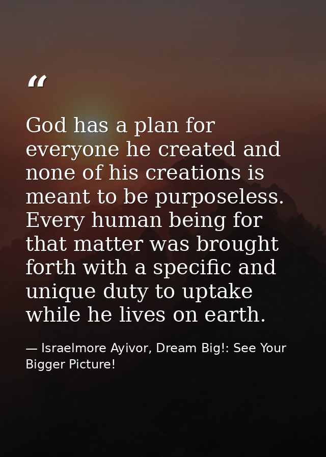 God has a plan for everyone he created and none of his creations is meant to be purposeless. Every human being for that  — Israelmore Ayivor, Dream Big!: See Your Bigger Picture!