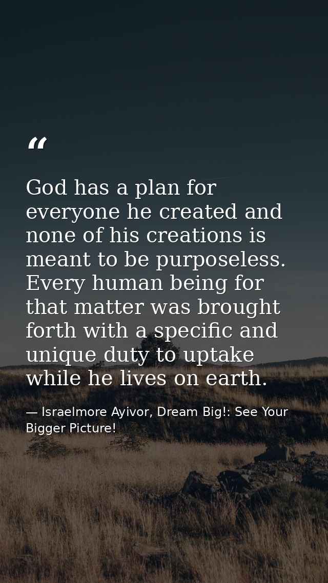 God has a plan for everyone he created and none of his creations is meant to be purposeless. Every human being for that  — Israelmore Ayivor, Dream Big!: See Your Bigger Picture!