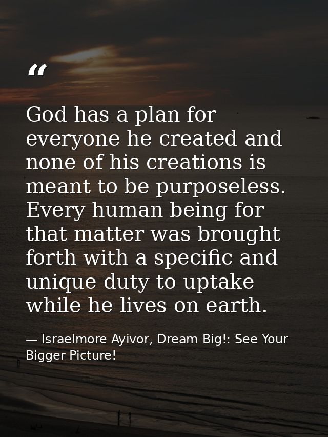 God has a plan for everyone he created and none of his creations is meant to be purposeless. Every human being for that  — Israelmore Ayivor, Dream Big!: See Your Bigger Picture!