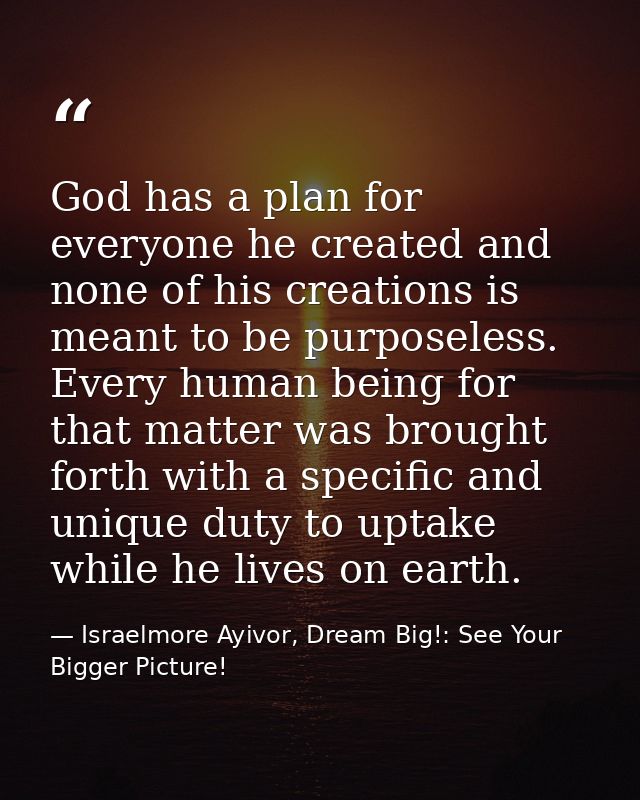 God has a plan for everyone he created and none of his creations is meant to be purposeless. Every human being for that  — Israelmore Ayivor, Dream Big!: See Your Bigger Picture!