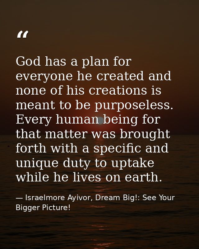 God has a plan for everyone he created and none of his creations is meant to be purposeless. Every human being for that  — Israelmore Ayivor, Dream Big!: See Your Bigger Picture!