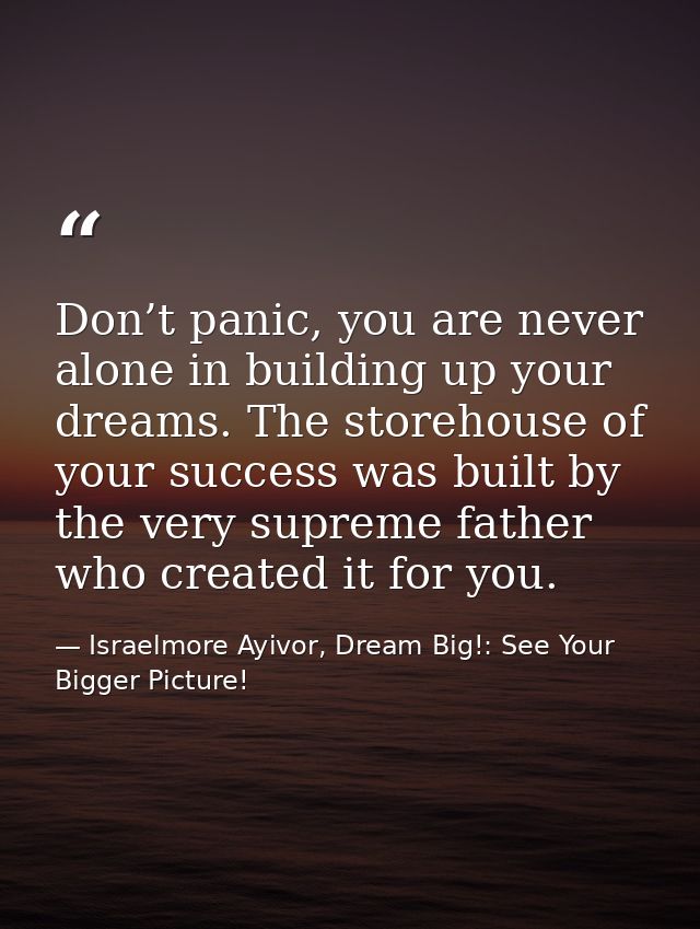 Don’t panic, you are never alone in building up your dreams. The storehouse of your success was built by the very suprem — Israelmore Ayivor, Dream Big!: See Your Bigger Picture!