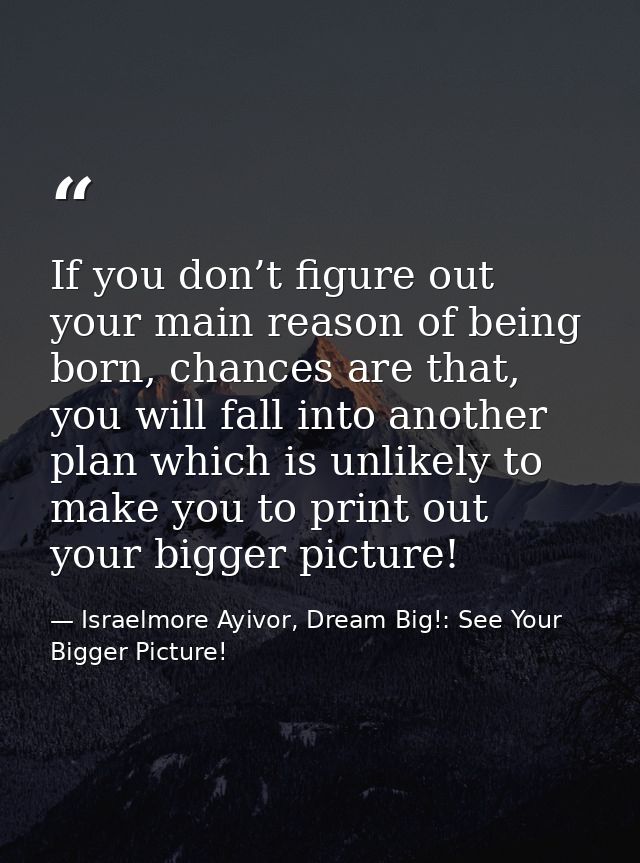 If you don’t figure out your main reason of being born, chances are that, you will fall into another plan which is unlik — Israelmore Ayivor, Dream Big!: See Your Bigger Picture!