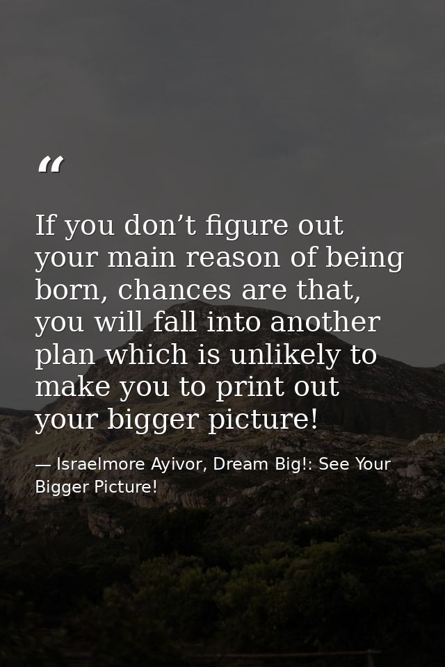 If you don’t figure out your main reason of being born, chances are that, you will fall into another plan which is unlik — Israelmore Ayivor, Dream Big!: See Your Bigger Picture!