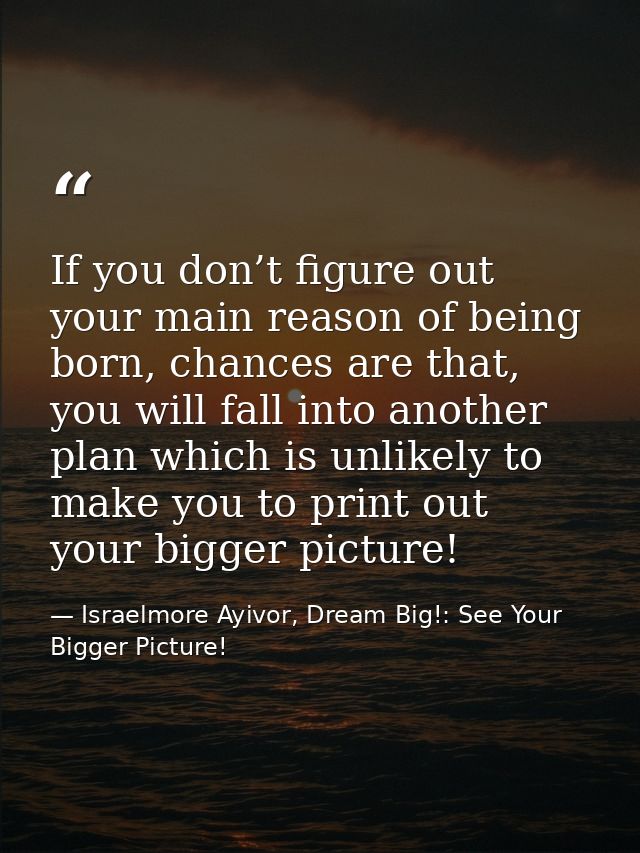 If you don’t figure out your main reason of being born, chances are that, you will fall into another plan which is unlik — Israelmore Ayivor, Dream Big!: See Your Bigger Picture!