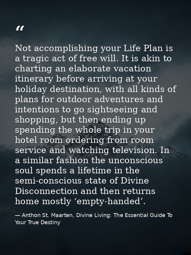 Not accomplishing your Life Plan is a tragic act of free will. It is akin to charting an elaborate vacation itinerary be — Anthon St. Maarten, Divine Living: The Essential Guide To Your True Destiny