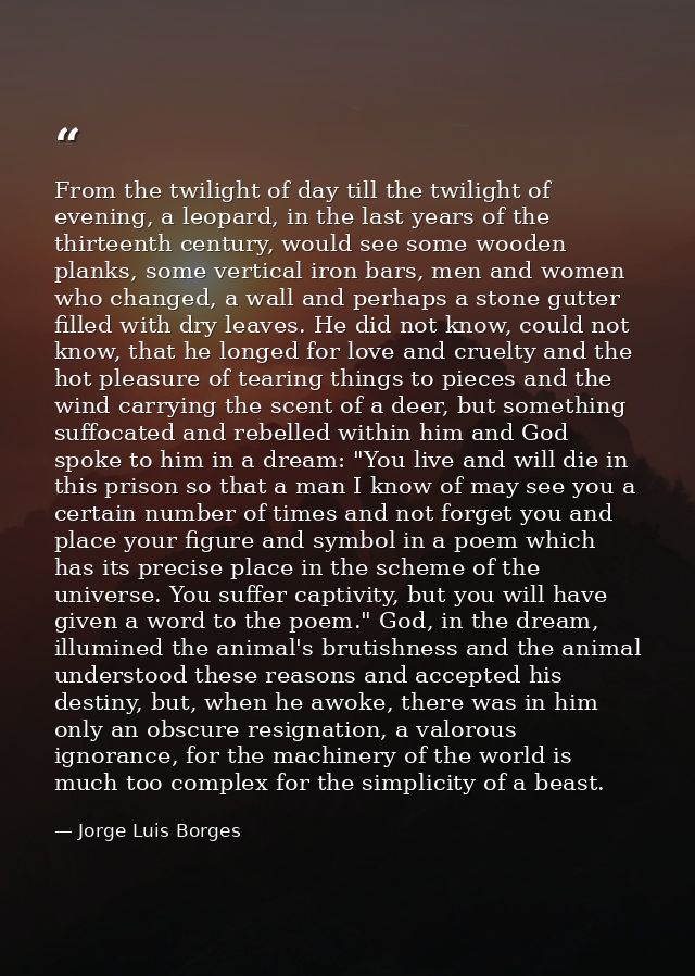 From the twilight of day till the twilight of evening, a leopard, in the last years of the thirteenth century, would see — Jorge Luis Borges