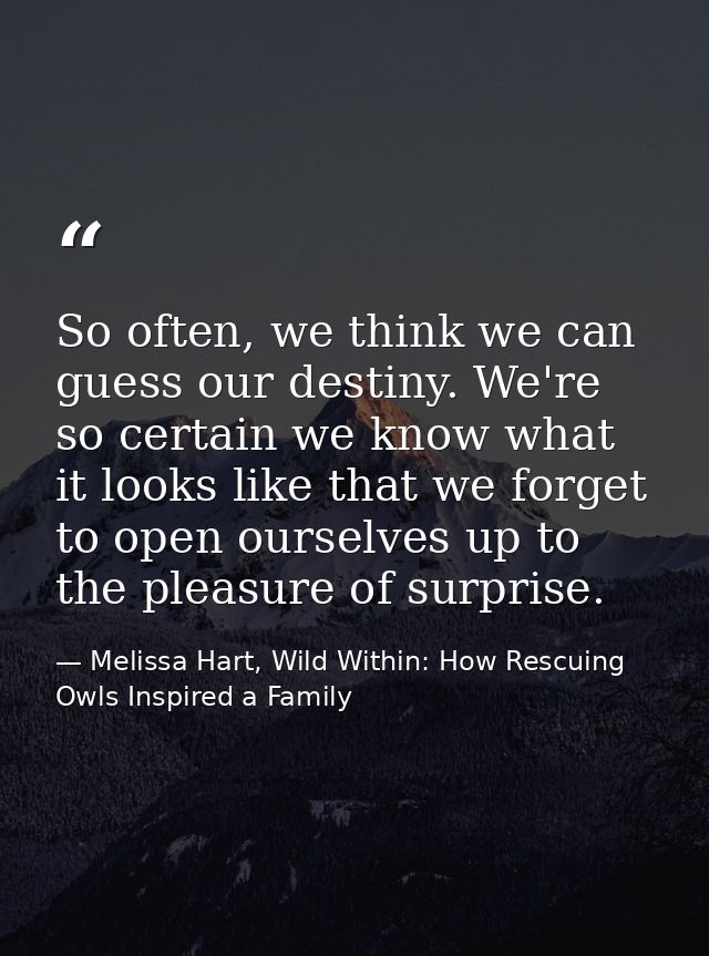 So often, we think we can guess our destiny. We're so certain we know what it looks like that we forget to open ourselve — Melissa Hart, Wild Within: How Rescuing Owls Inspired a Family