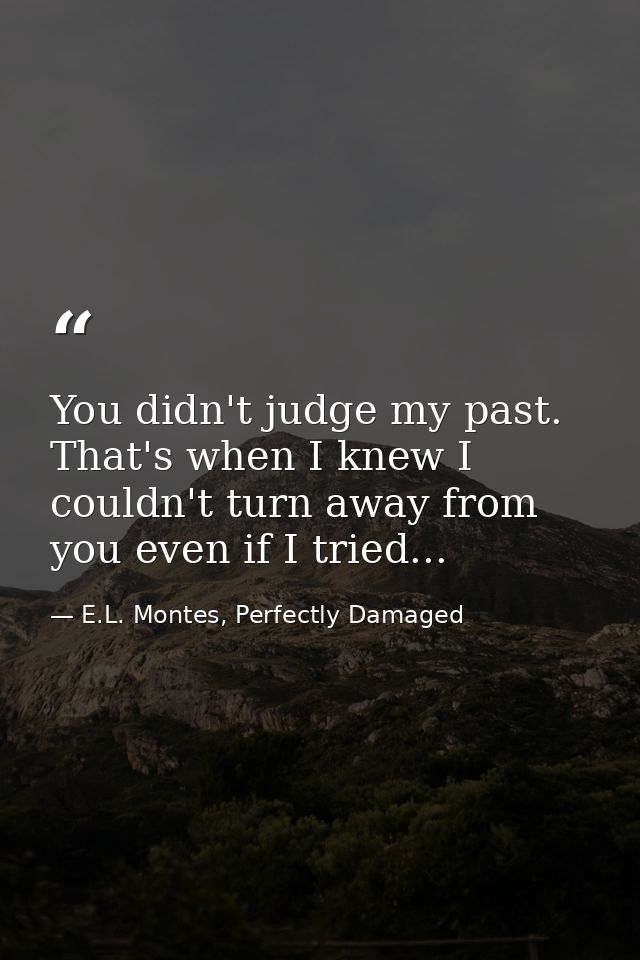 You didn't judge my past. That's when I knew I couldn't turn away from you even if I tried... — E.L. Montes, Perfectly Damaged