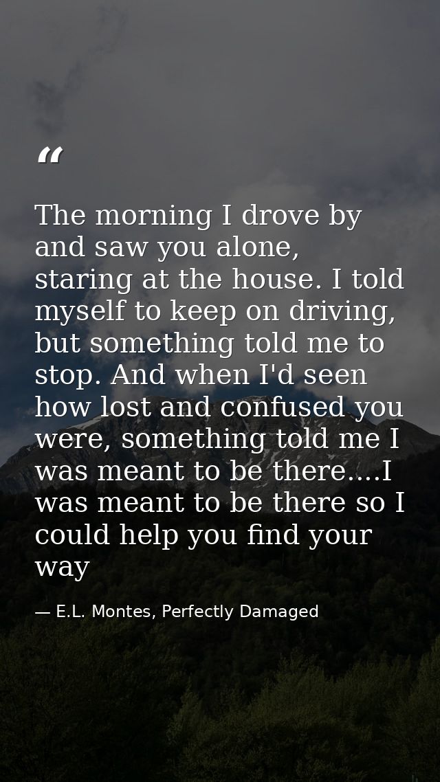 The morning I drove by and saw you alone, staring at the house. I told myself to keep on driving, but something told me  — E.L. Montes, Perfectly Damaged