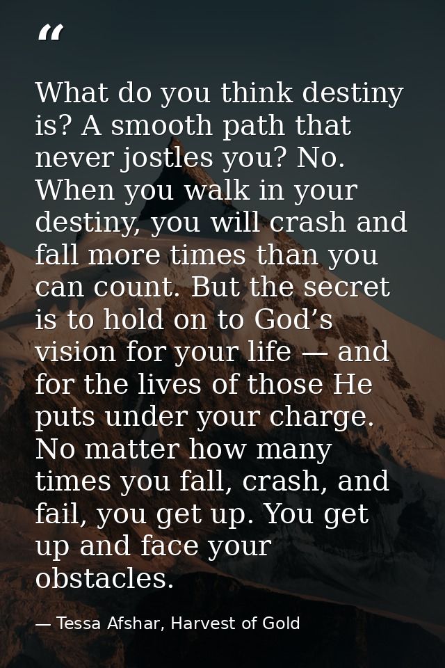 What do you think destiny is? A smooth path that never jostles you? No. When you walk in your destiny, you will crash an — Tessa Afshar, Harvest of Gold