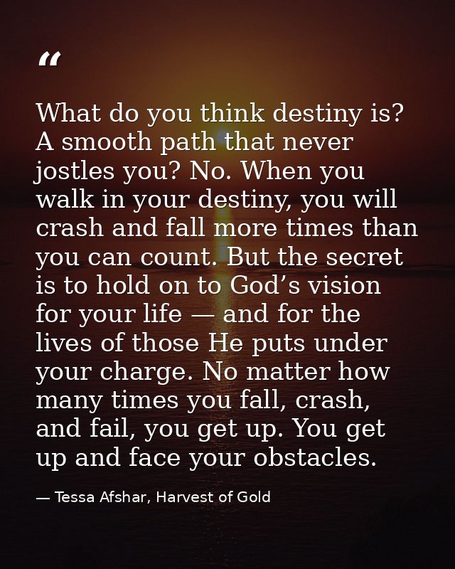 What do you think destiny is? A smooth path that never jostles you? No. When you walk in your destiny, you will crash an — Tessa Afshar, Harvest of Gold