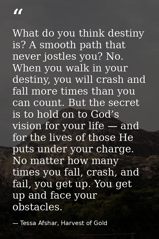What do you think destiny is? A smooth path that never jostles you? No. When you walk in your destiny, you will crash an — Tessa Afshar, Harvest of Gold