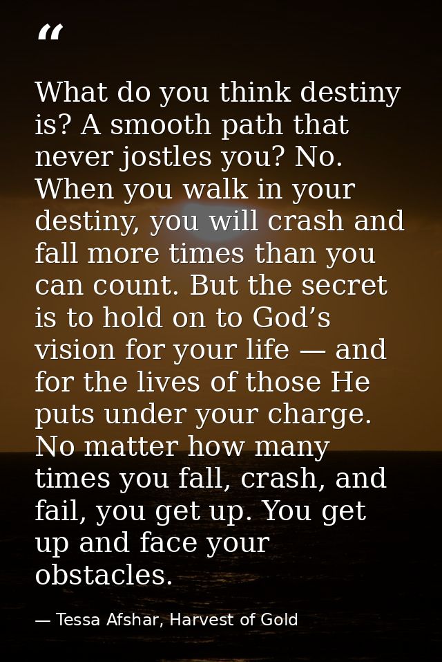 What do you think destiny is? A smooth path that never jostles you? No. When you walk in your destiny, you will crash an — Tessa Afshar, Harvest of Gold