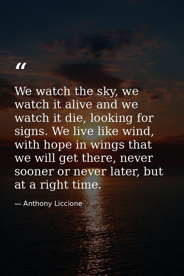We watch the sky, we watch it alive and we watch it die, looking for signs. We live like wind, with hope in wings that w — Anthony Liccione