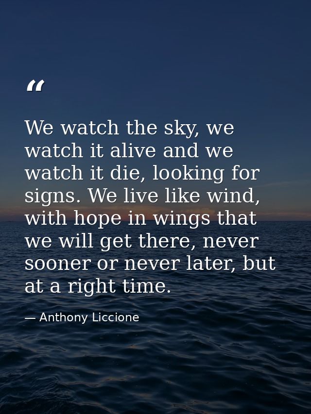 We watch the sky, we watch it alive and we watch it die, looking for signs. We live like wind, with hope in wings that w — Anthony Liccione