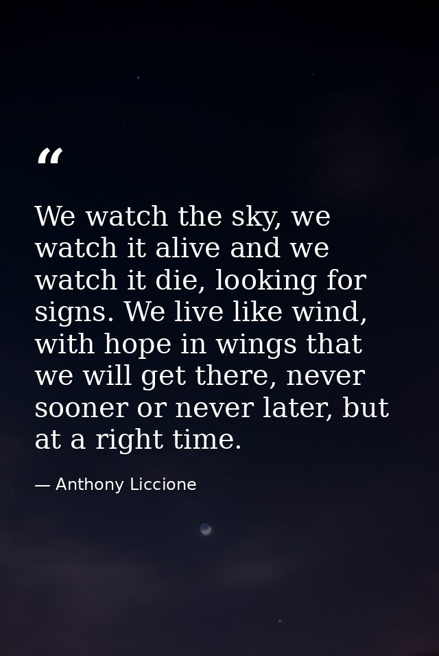 We watch the sky, we watch it alive and we watch it die, looking for signs. We live like wind, with hope in wings that w — Anthony Liccione
