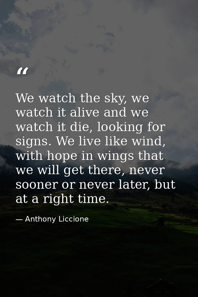 We watch the sky, we watch it alive and we watch it die, looking for signs. We live like wind, with hope in wings that w — Anthony Liccione