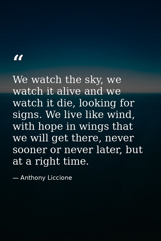 We watch the sky, we watch it alive and we watch it die, looking for signs. We live like wind, with hope in wings that w — Anthony Liccione