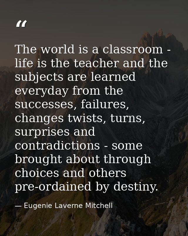 The world is a classroom - life is the teacher and the subjects are learned everyday from the successes, failures, chang — Eugenie Laverne Mitchell