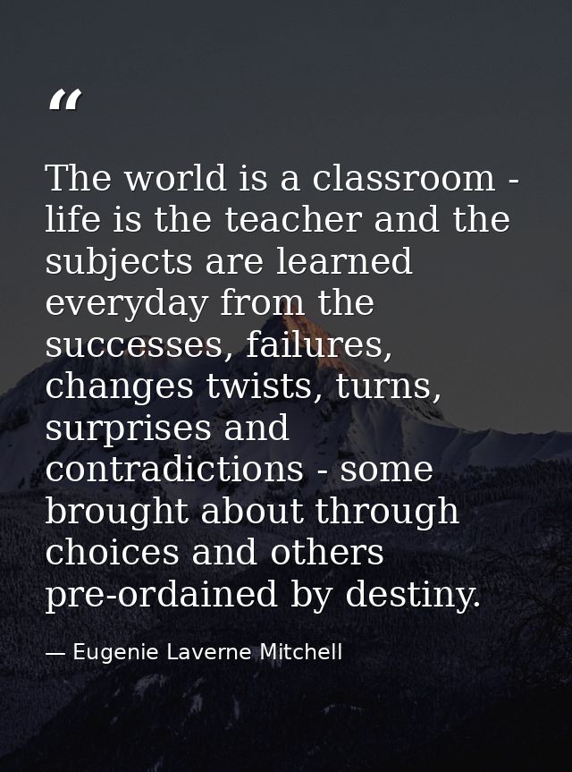 The world is a classroom - life is the teacher and the subjects are learned everyday from the successes, failures, chang — Eugenie Laverne Mitchell