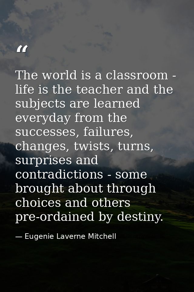 The world is a classroom - life is the teacher and the subjects are learned everyday from the successes, failures, chang — Eugenie Laverne Mitchell