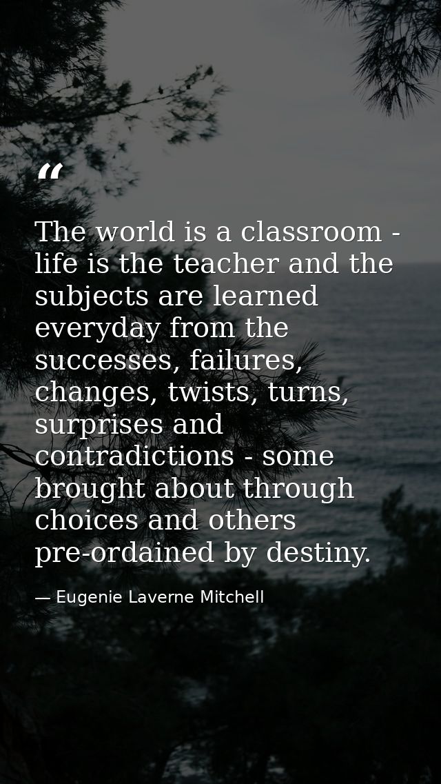 The world is a classroom - life is the teacher and the subjects are learned everyday from the successes, failures, chang — Eugenie Laverne Mitchell