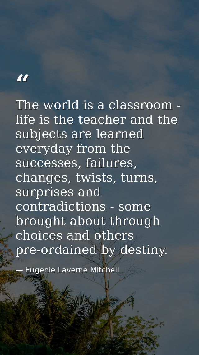 The world is a classroom - life is the teacher and the subjects are learned everyday from the successes, failures, chang — Eugenie Laverne Mitchell