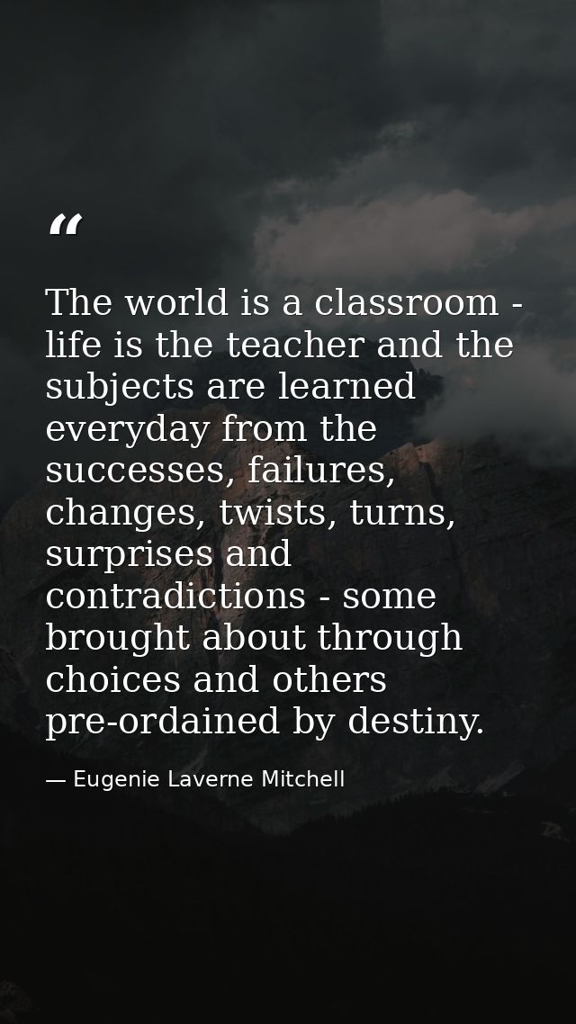 The world is a classroom - life is the teacher and the subjects are learned everyday from the successes, failures, chang — Eugenie Laverne Mitchell
