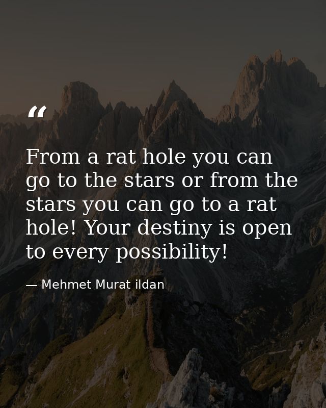 From a rat hole you can go to the stars or from the stars you can go to a rat hole! Your destiny is open to every possib — Mehmet Murat ildan