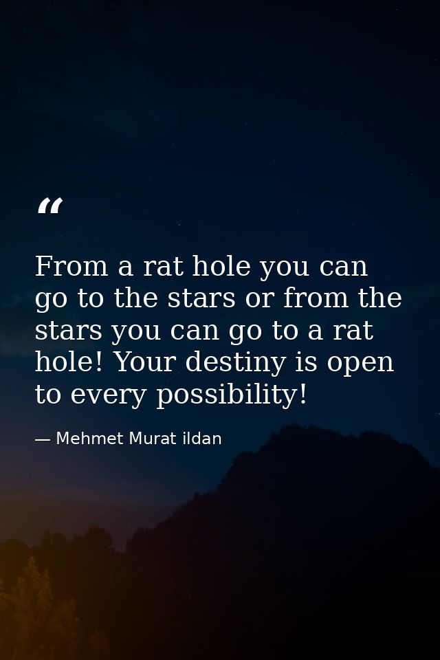 From a rat hole you can go to the stars or from the stars you can go to a rat hole! Your destiny is open to every possib — Mehmet Murat ildan