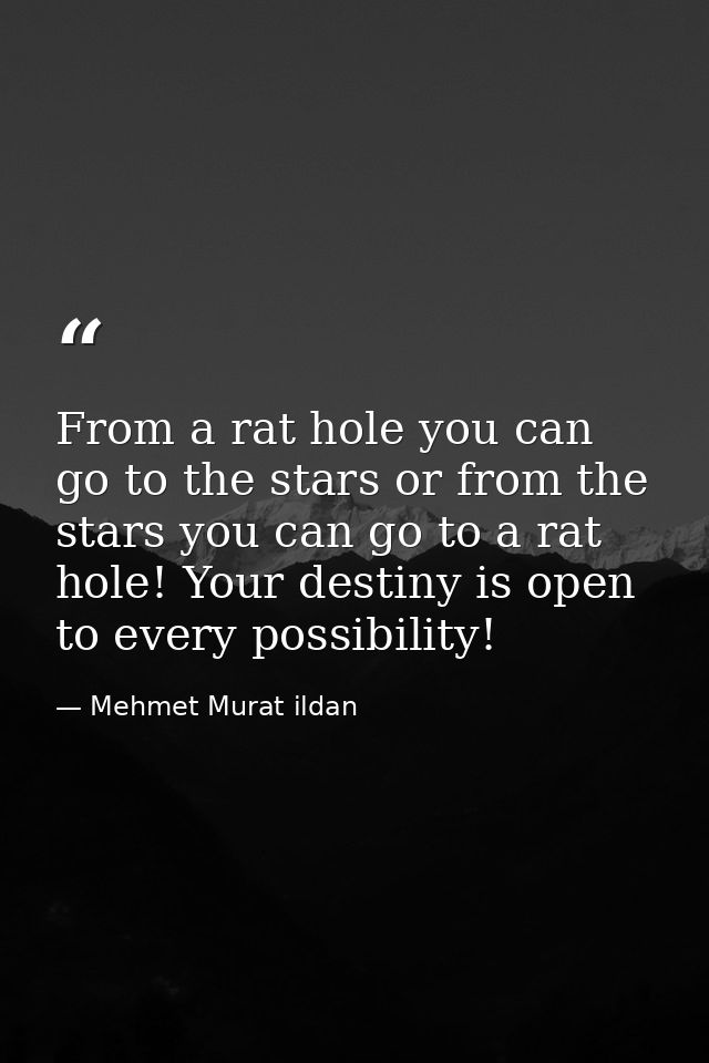 From a rat hole you can go to the stars or from the stars you can go to a rat hole! Your destiny is open to every possib — Mehmet Murat ildan