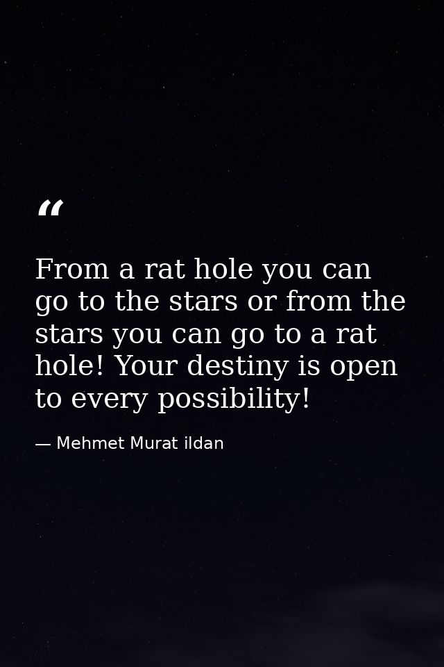 From a rat hole you can go to the stars or from the stars you can go to a rat hole! Your destiny is open to every possib — Mehmet Murat ildan