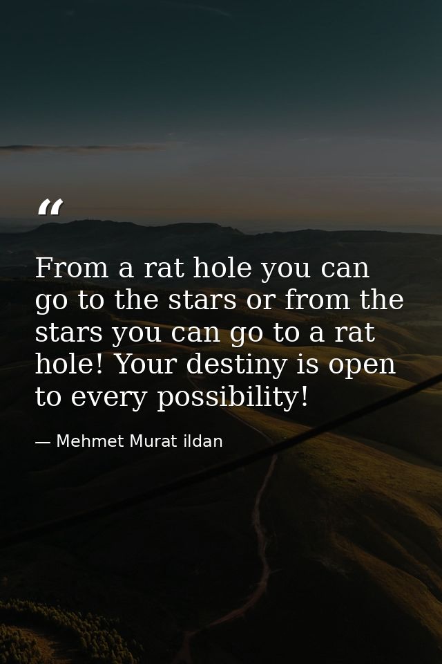 From a rat hole you can go to the stars or from the stars you can go to a rat hole! Your destiny is open to every possib — Mehmet Murat ildan