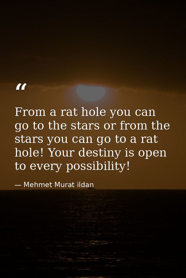 From a rat hole you can go to the stars or from the stars you can go to a rat hole! Your destiny is open to every possib — Mehmet Murat ildan