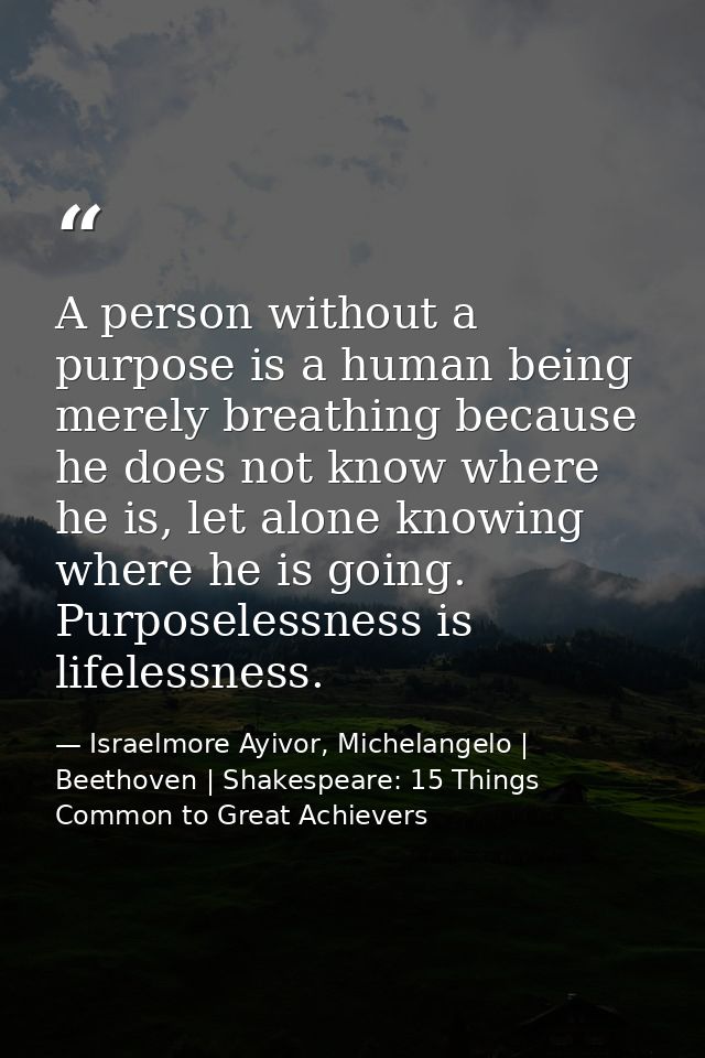 A person without a purpose is a human being merely breathing because he does not know where he is, let alone knowing whe — Israelmore Ayivor, Michelangelo | Beethoven | Shakespeare: 15 Things Common to Great Achievers