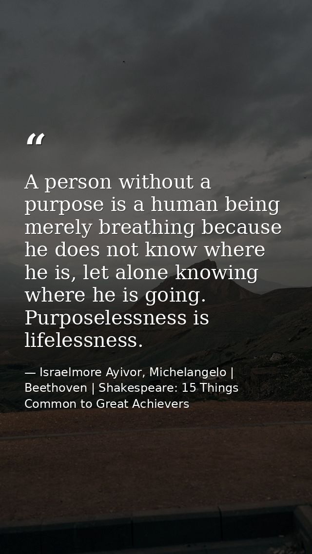 A person without a purpose is a human being merely breathing because he does not know where he is, let alone knowing whe — Israelmore Ayivor, Michelangelo | Beethoven | Shakespeare: 15 Things Common to Great Achievers